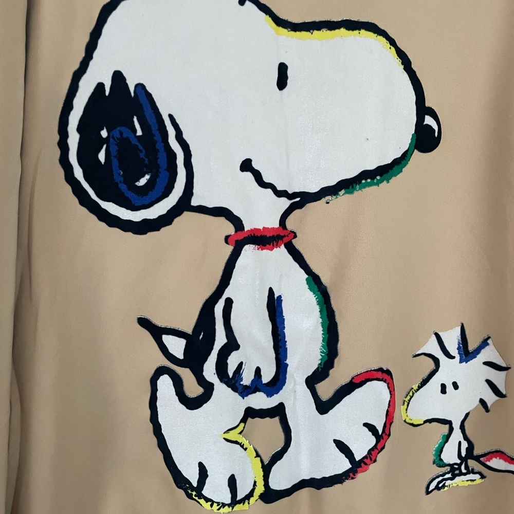 Peanuts Snoopy and Charlie Brown
Mens Jacket NWT XXL - Picture 4 of 7